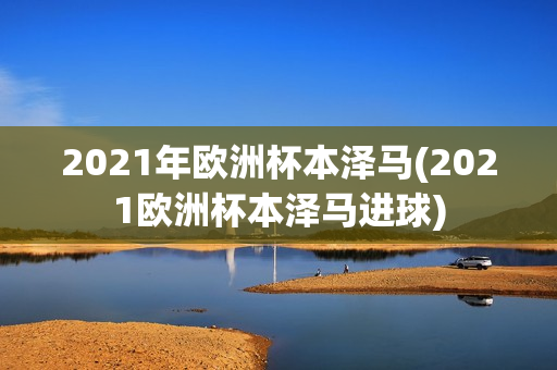 2021年欧洲杯本泽马(2021欧洲杯本泽马进球)