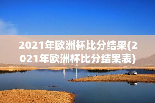 2021年欧洲杯比分结果(2021年欧洲杯比分结果表)