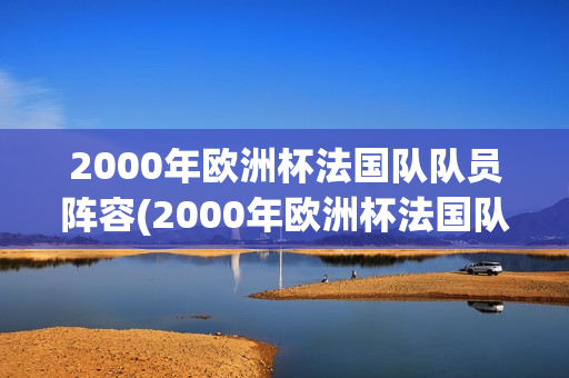 2000年欧洲杯法国队队员阵容(2000年欧洲杯法国队队员阵容表)