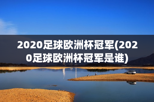 2020足球欧洲杯冠军(2020足球欧洲杯冠军是谁)