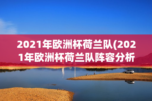 2021年欧洲杯荷兰队(2021年欧洲杯荷兰队阵容分析)