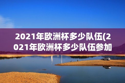 2021年欧洲杯多少队伍(2021年欧洲杯多少队伍参加)