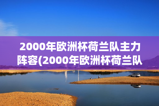 2000年欧洲杯荷兰队主力阵容(2000年欧洲杯荷兰队主力阵容是谁)