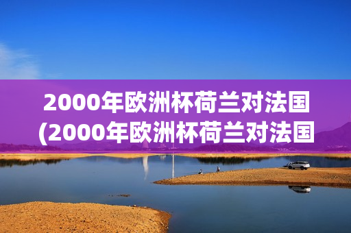 2000年欧洲杯荷兰对法国(2000年欧洲杯荷兰对法国比分)