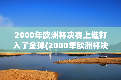 2000年欧洲杯决赛上谁打入了金球(2000年欧洲杯决赛上谁打入了金球奖杯)