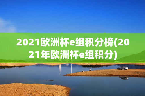 2021欧洲杯e组积分榜(2021年欧洲杯e组积分)