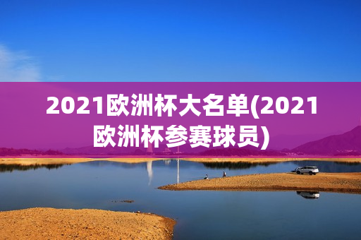 2021欧洲杯大名单(2021欧洲杯参赛球员)