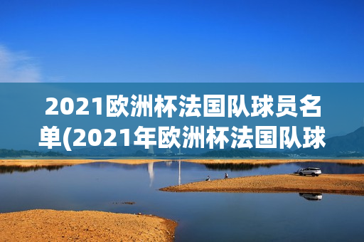 2021欧洲杯法国队球员名单(2021年欧洲杯法国队球员)