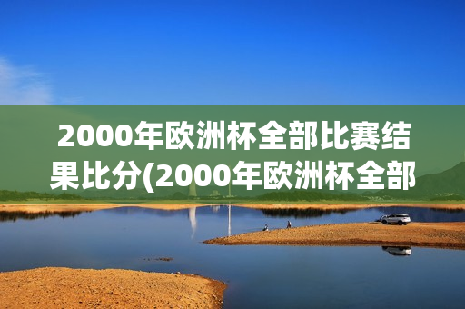 2000年欧洲杯全部比赛结果比分(2000年欧洲杯全部比赛结果比分表)