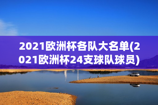 2021欧洲杯各队大名单(2021欧洲杯24支球队球员)