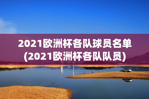 2021欧洲杯各队球员名单(2021欧洲杯各队队员)