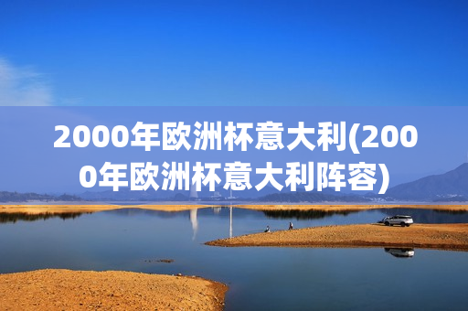 2000年欧洲杯意大利(2000年欧洲杯意大利阵容)