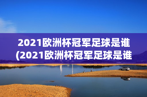 2021欧洲杯冠军足球是谁(2021欧洲杯冠军足球是谁啊)