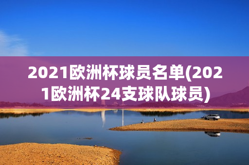 2021欧洲杯球员名单(2021欧洲杯24支球队球员)