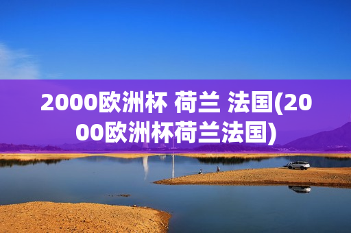 2000欧洲杯 荷兰 法国(2000欧洲杯荷兰法国)