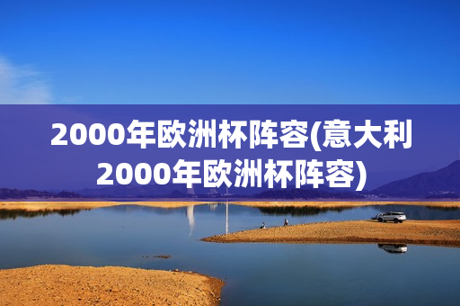 2000年欧洲杯阵容(意大利2000年欧洲杯阵容)