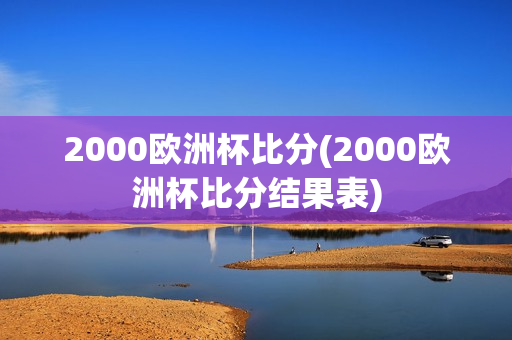 2000欧洲杯比分(2000欧洲杯比分结果表)