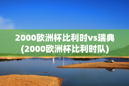 2000欧洲杯比利时vs瑞典(2000欧洲杯比利时队)