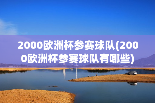 2000欧洲杯参赛球队(2000欧洲杯参赛球队有哪些)