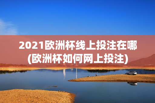 2021欧洲杯线上投注在哪(欧洲杯如何网上投注)