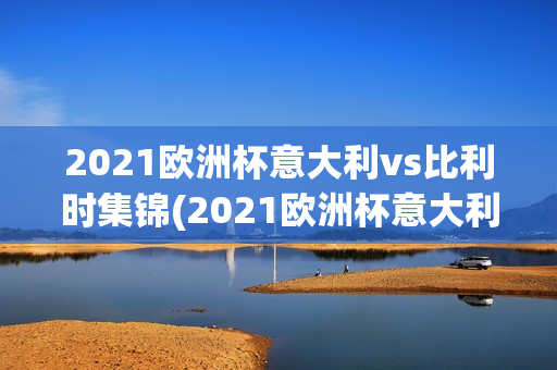 2021欧洲杯意大利vs比利时集锦(2021欧洲杯意大利vs比利时集锦视频)