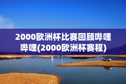 2000欧洲杯比赛回顾哔哩哔哩(2000欧洲杯赛程)