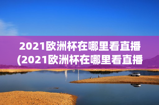 2021欧洲杯在哪里看直播(2021欧洲杯在哪里看直播的)