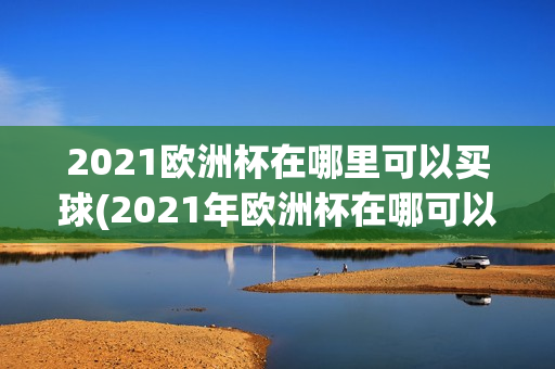 2021欧洲杯在哪里可以买球(2021年欧洲杯在哪可以买球)