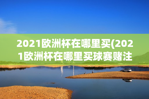 2021欧洲杯在哪里买(2021欧洲杯在哪里买球赛赌注)