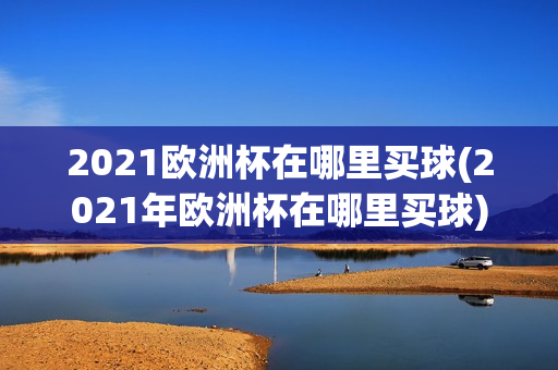 2021欧洲杯在哪里买球(2021年欧洲杯在哪里买球)