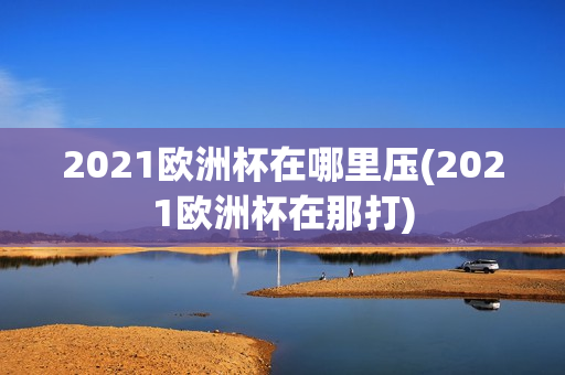 2021欧洲杯在哪里压(2021欧洲杯在那打)