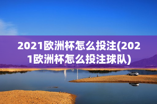 2021欧洲杯怎么投注(2021欧洲杯怎么投注球队)