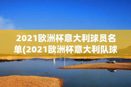 2021欧洲杯意大利球员名单(2021欧洲杯意大利队球员)