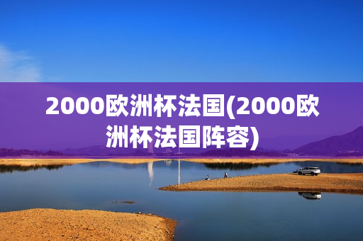 2000欧洲杯法国(2000欧洲杯法国阵容)