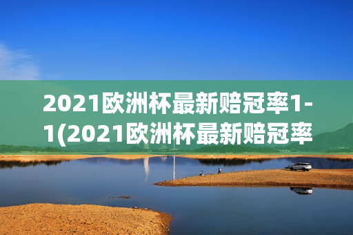 2021欧洲杯最新赔冠率1-1(2021欧洲杯最新赔冠率皇冠)