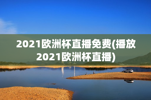 2021欧洲杯直播免费(播放2021欧洲杯直播)