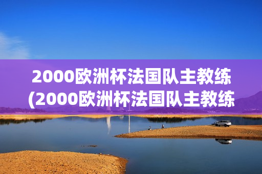 2000欧洲杯法国队主教练(2000欧洲杯法国队主教练是谁)