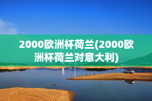 2000欧洲杯荷兰(2000欧洲杯荷兰对意大利)