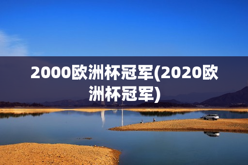 2000欧洲杯冠军(2020欧洲杯冠军)