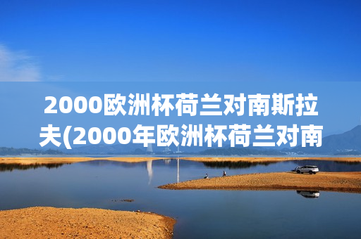 2000欧洲杯荷兰对南斯拉夫(2000年欧洲杯荷兰对南斯拉夫)