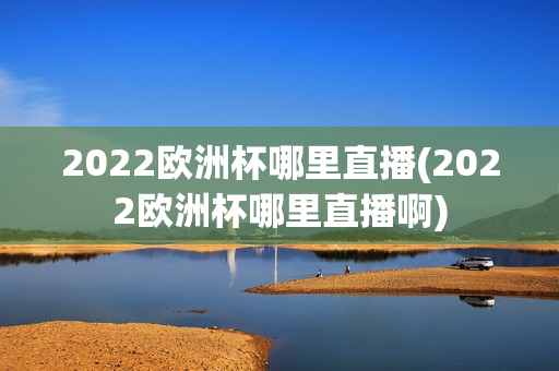 2022欧洲杯哪里直播(2022欧洲杯哪里直播啊)