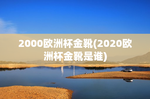 2000欧洲杯金靴(2020欧洲杯金靴是谁)