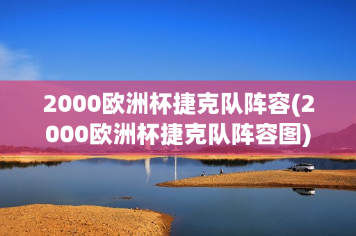 2000欧洲杯捷克队阵容(2000欧洲杯捷克队阵容图)