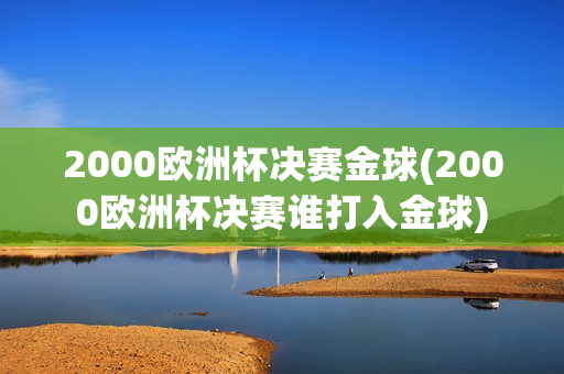 2000欧洲杯决赛金球(2000欧洲杯决赛谁打入金球)