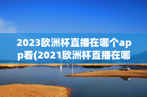 2023欧洲杯直播在哪个app看(2021欧洲杯直播在哪个平台看)