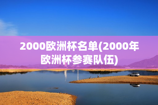 2000欧洲杯名单(2000年欧洲杯参赛队伍)