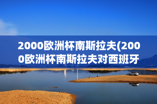 2000欧洲杯南斯拉夫(2000欧洲杯南斯拉夫对西班牙)