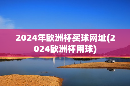 2024年欧洲杯买球网址(2024欧洲杯用球)