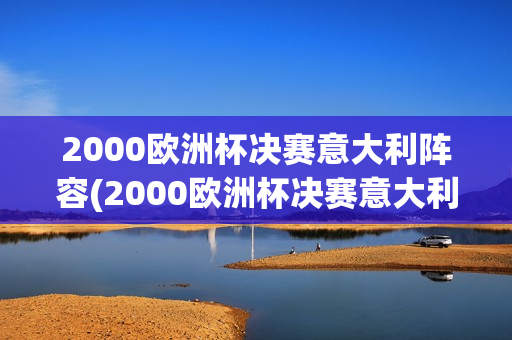 2000欧洲杯决赛意大利阵容(2000欧洲杯决赛意大利阵容是谁)