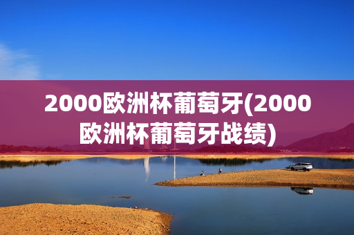 2000欧洲杯葡萄牙(2000欧洲杯葡萄牙战绩)